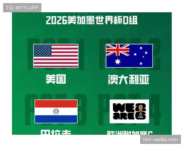 2026世界杯东道主资格为何长期保留 2026世界杯东道主资格为何长期保留